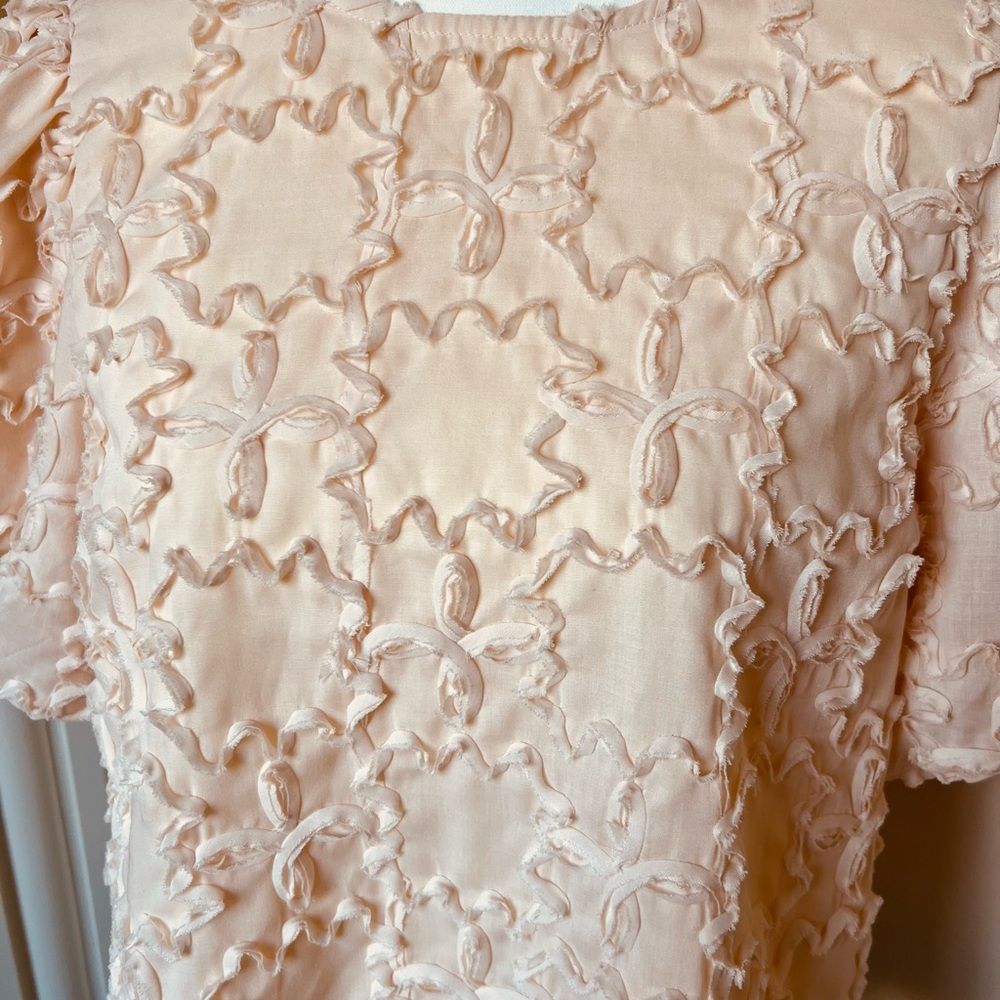 Pink Ruffle Blouse with Black Ribbon Ties - Picture 6 of 6